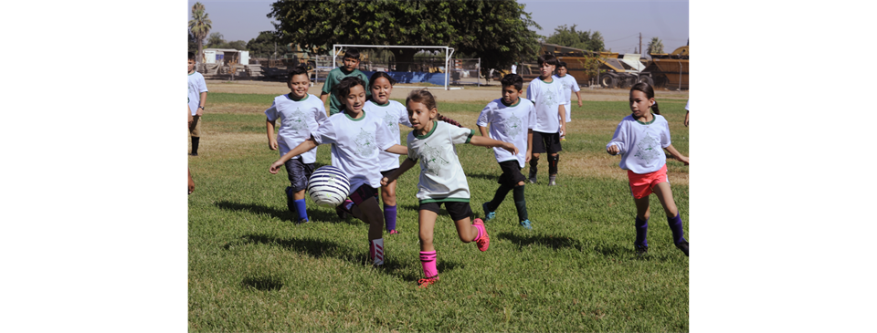 Soccer League